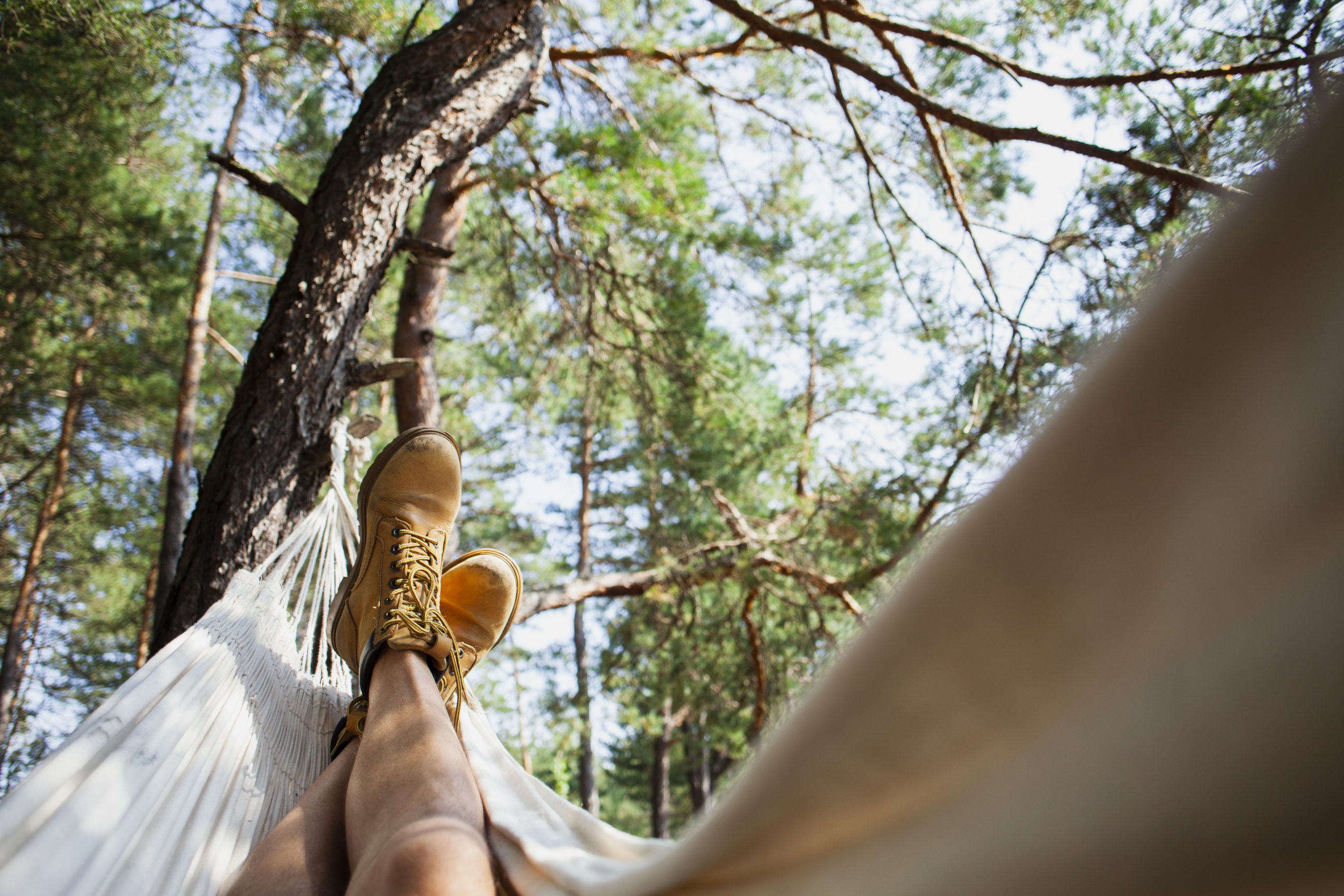 low-angle-man-hammock-view low-angle-man-hammock-view
